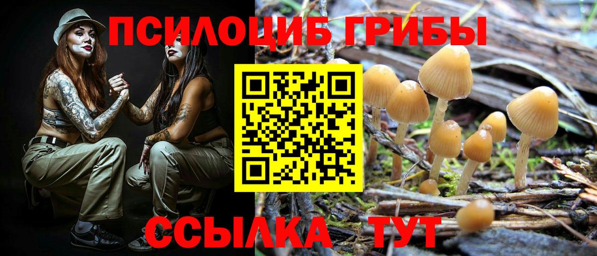 Галлюциногенные грибы Psilocybine cubensis  Вход с VPN  Северобайкальск 