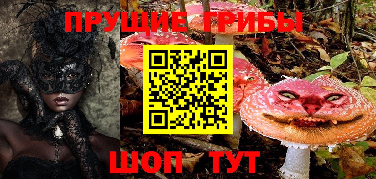 Галлюциногенные грибы Psilocybe Северобайкальск